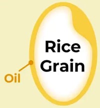 rice grain coated