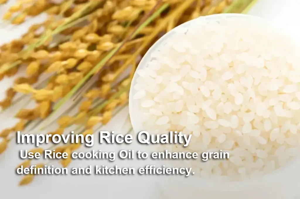 Rice Quality Management｜Improve Grain Texture and Kitchen Efficiency with Rice Cooking Oil